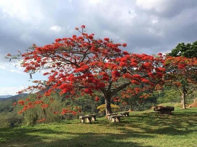 Hotel Fazenda Caturama Areal Exteriér fotografie